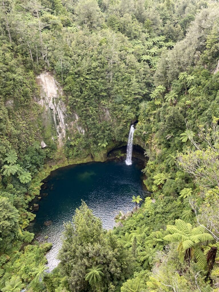 IMG_8001 Omanawa Falls, Mt Maunganui, New Zealand