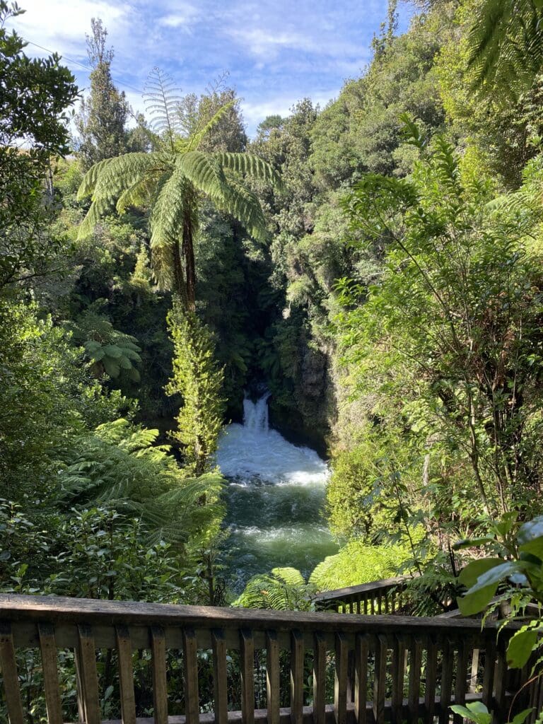 IMG_8127 Okere Falls, Taupo, New Zealand