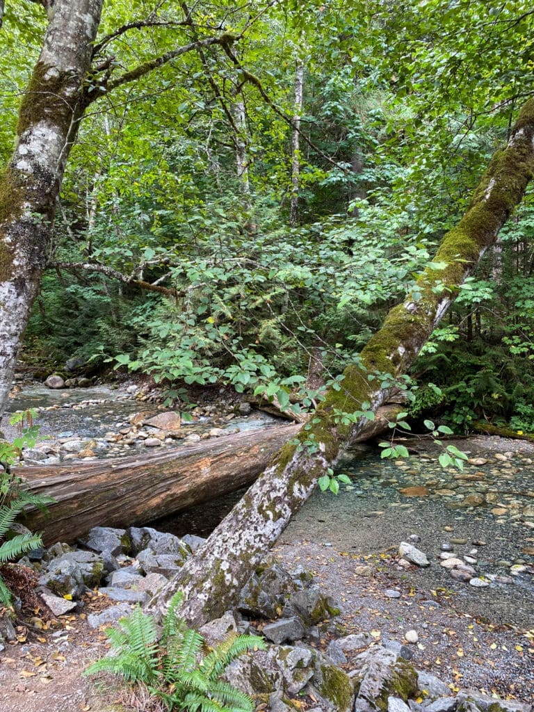 Alice Lakes Trail, Canada