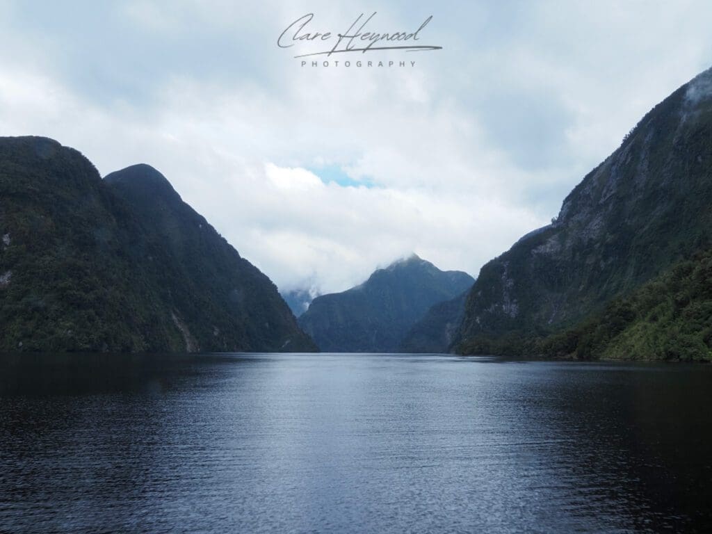 Doubtful Sounds, New Zealand