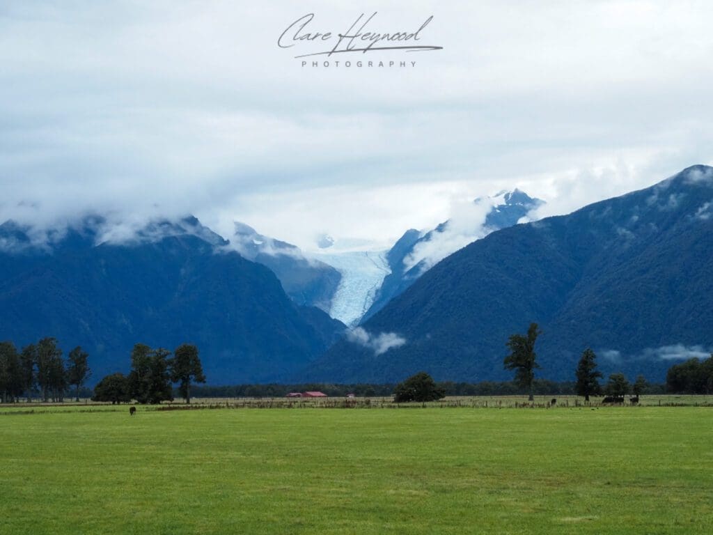 Fox Glacier Viewpoint, Franz Josef New Zealand