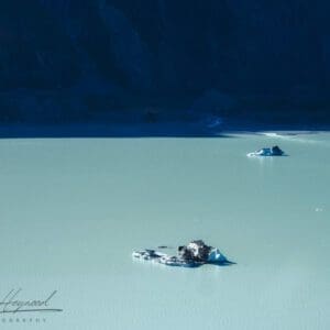 Icebergs, Tasman Glacier Lake