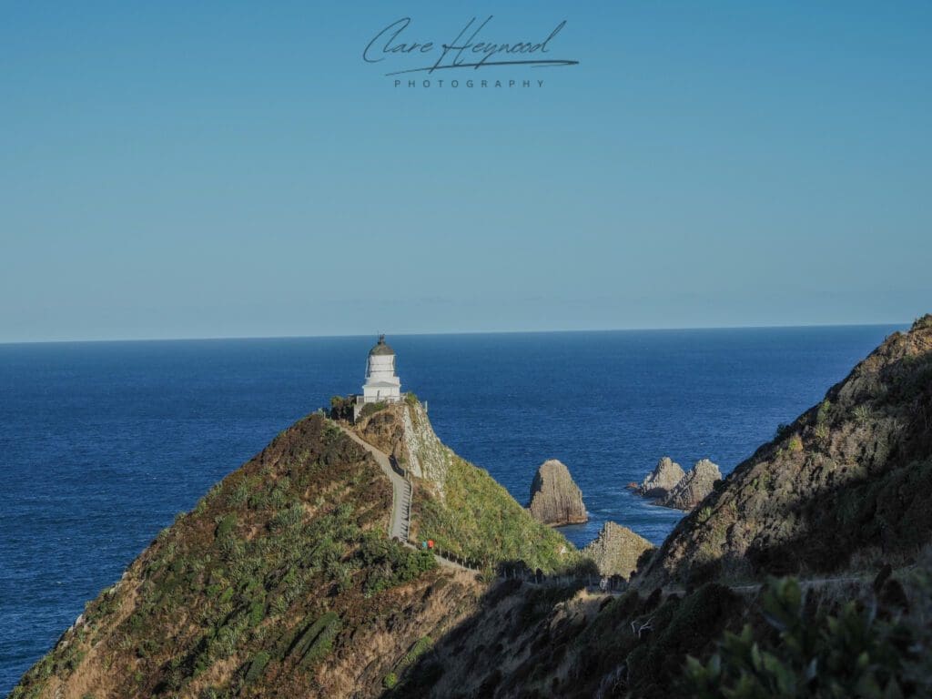 Nugget Point, Catlins National Park, New Zealand