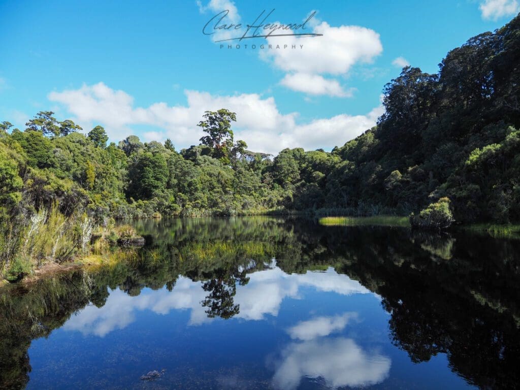 Lake Wilkie, Catlins National Park