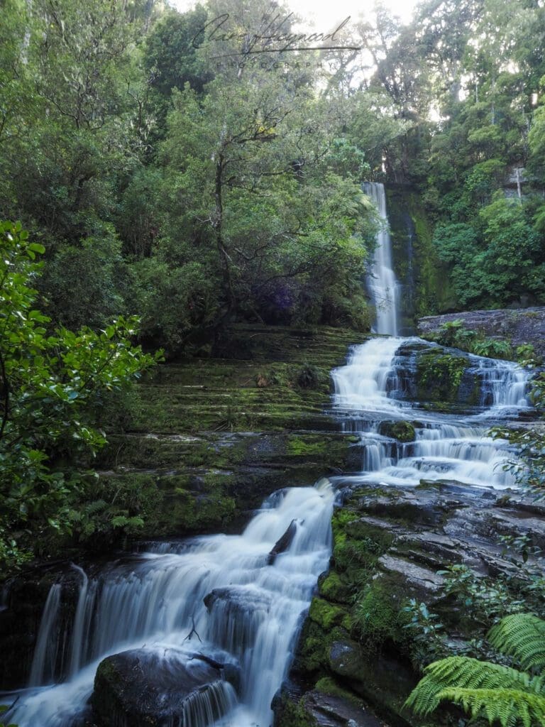 McLean Falls, Catlins National Park